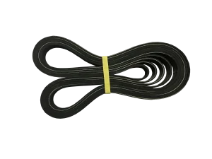 Dây Cuaroa 8PK1510 