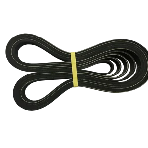 Dây Cuaroa 8PK1510